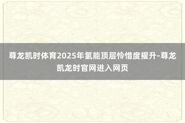 尊龙凯时体育2025年氢能顶层怜惜度擢升-尊龙凯龙时官网进入网页